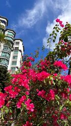 The Hillside (D21), Condominium #610578321